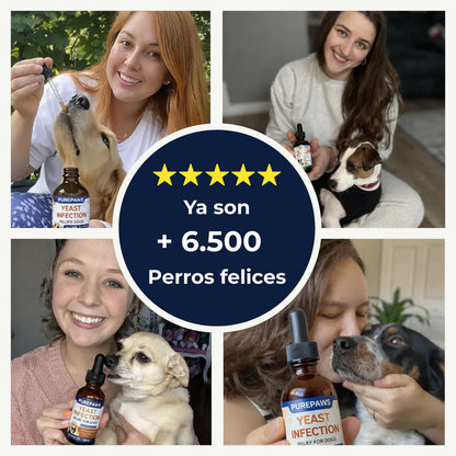 PawLove® Yeast Infection – Ayuda a Combatir la Picazón, Irritación y Hongos en Mascotas